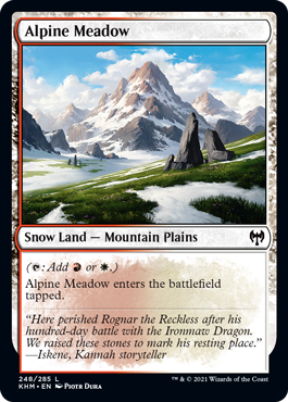 Alpine Meadow