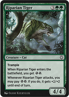 Riparian Tiger