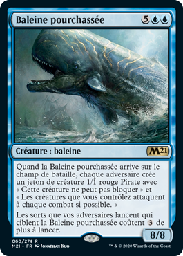Baleine pourchassée