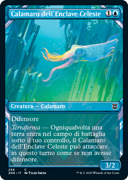 Calamaro dell'Enclave Celeste