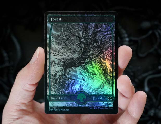 Traditional foil eternal night Forest