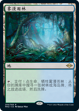 Misty Rainforest