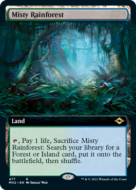Extended-art Misty Rainforest