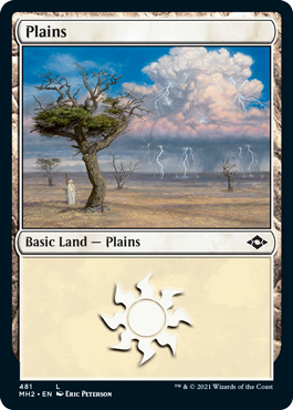 Plains