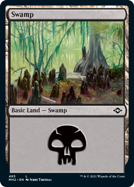 Swamp