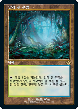 Retro frame Misty Rainforest
