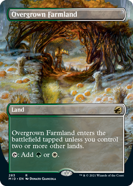 Overgrown Farmland dual land borderless card treatment