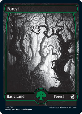 Forest eternal night full-art basic land variant