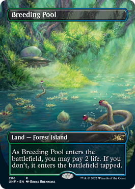 Breeding Pool