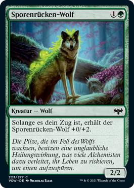Sporenrücken-Wolf