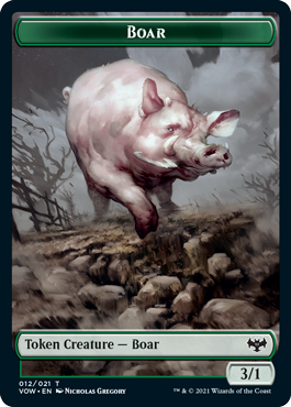 Boar