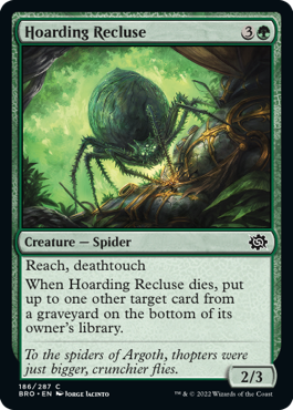 Hoarding Recluse