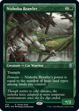 Promo Nishoba Brawler