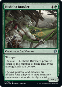 Nishoba Brawler