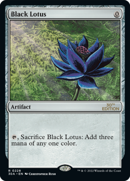 Modern Frame Black Lotus