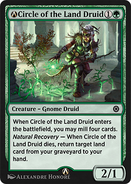 Circle of the Land Druid