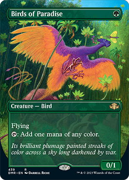 Borderless Birds of Paradise