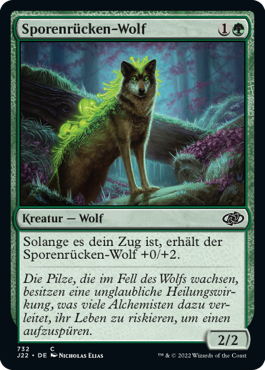 Sporenrücken-Wolf