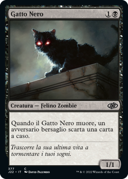 Gatto Nero
