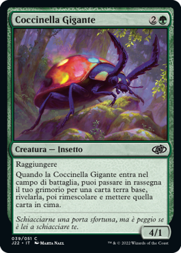 Coccinella Gigante