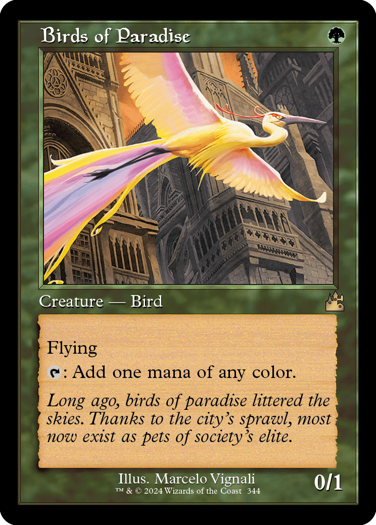 Birds of Paradise retro frame