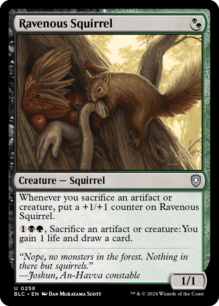 《貪欲なるリス/Ravenous Squirrel》 [BLC]