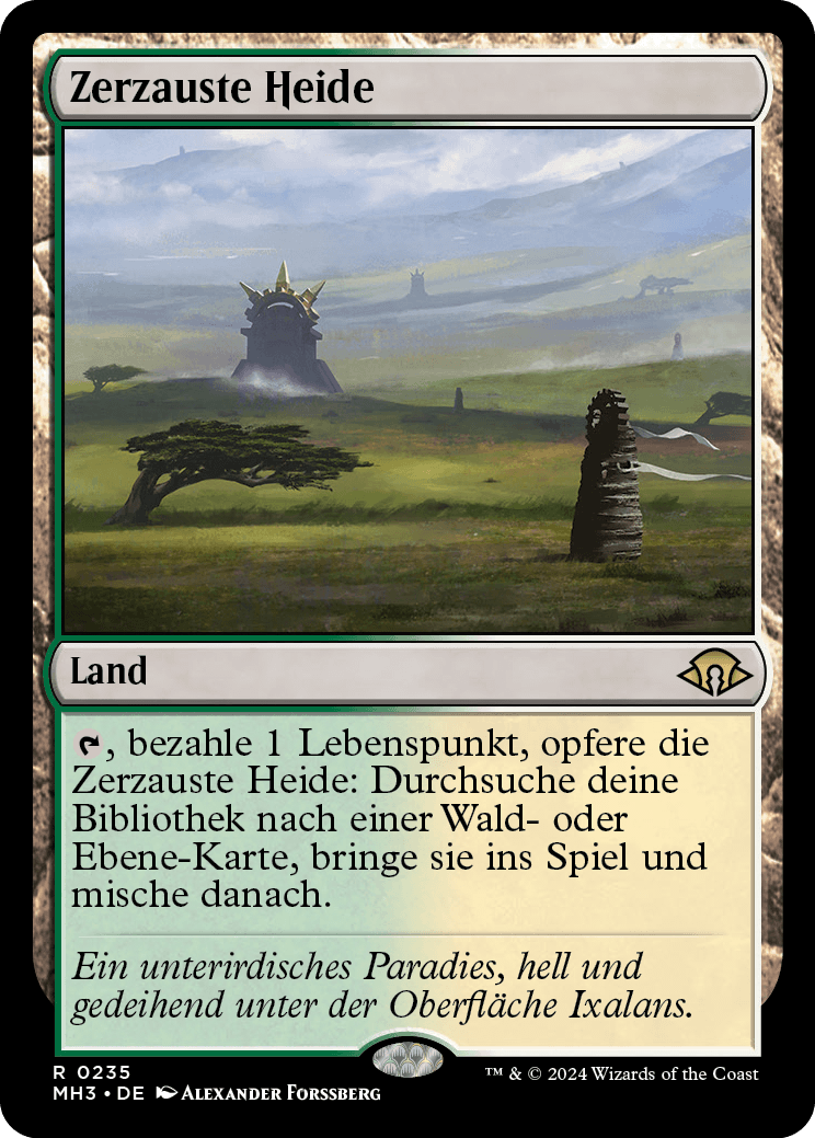 Zerzauste Heide