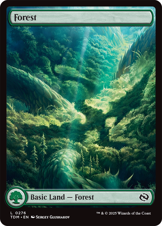 《森/Forest》 [TDM]