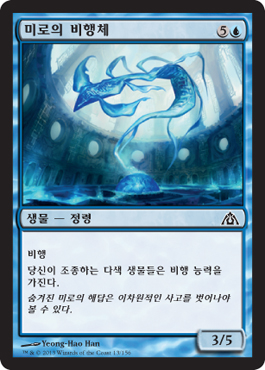 ë¯¸ë¡œì˜ ë¹„í–‰ì²´