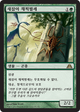 ìƒˆìž¡ì´ ì±„ì°ë²Œë ˆ