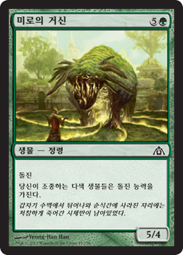 ë¯¸ë¡œì˜ ê±°ì‹