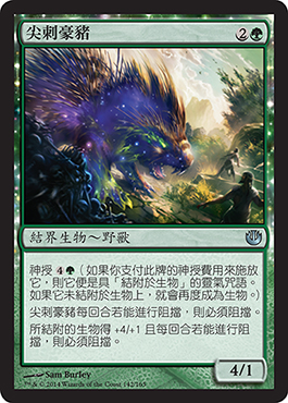 å°–åˆºè±ªè±¬