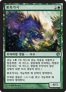 ë¾°ì¡±ê°€ì‹œ