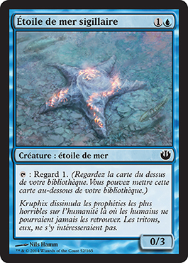 Ã‰toile de mer sigillaire