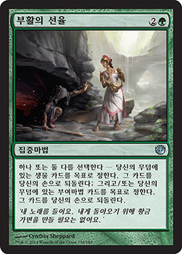ë¶€í™œì˜ ì„ ìœ¨