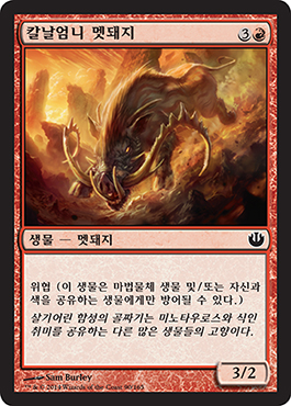 ì¹¼ë‚ ì—„ë‹ˆ ë©§ë¼ì§€