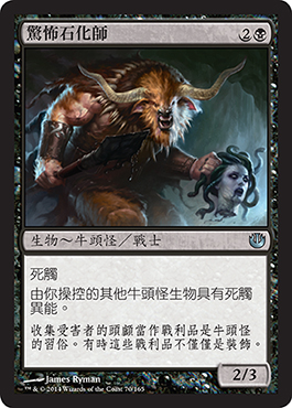 é©šæ€–çŸ³åŒ–å¸«