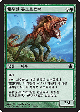 êµ¶ì£¼ë¦° ë¥˜í¬ë¡œì½”íƒ€