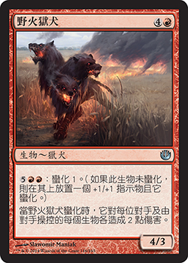 é‡Žç«ç„çŠ¬