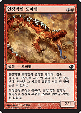 ì¸ìž¥ë°•ížŒ ë„ë§ˆë±€