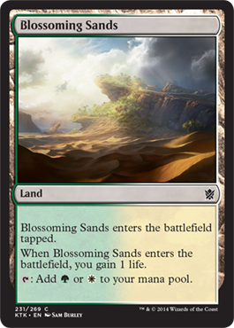 《花咲く砂地/Blossoming Sands》 [KTK]