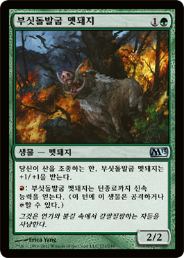 부싯ëŒë°œêµ½ ë©§ë¼ì§€