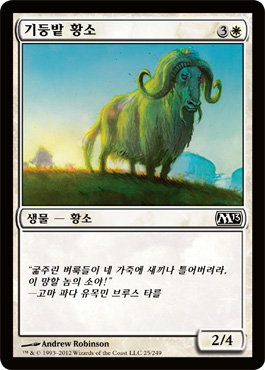 ê¸°ë‘¥ë° í™©ì†Œ