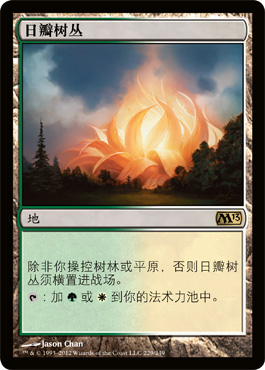 æ—¥ç“£æ ‘ä¸›