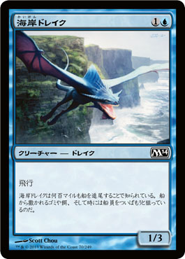 海岸ドレイク