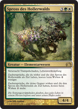 Spross des Hollerwalds