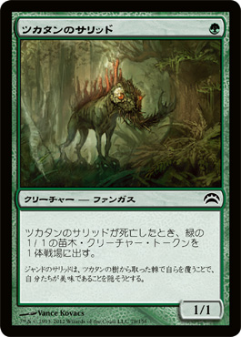 ツカタンã®ã‚µãƒªãƒƒãƒ‰