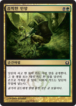 ë”ì°í•œ ì¸ì–‘