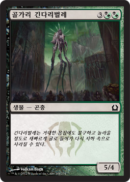 골가리 ê¸´ë‹¤ë¦¬ë²Œë ˆ