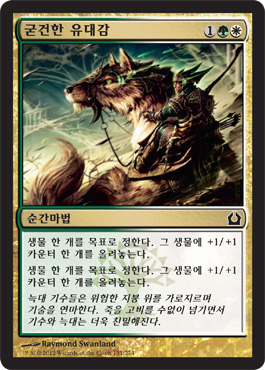 굳건한 ìœ ëŒ€ê°